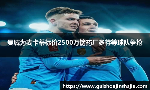 曼城为麦卡蒂标价2500万镑药厂多特等球队争抢